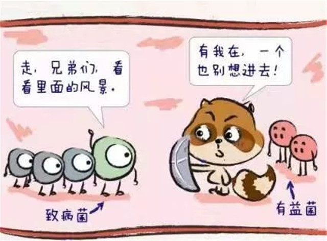 肠道发出的“衰老警报”